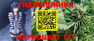 mix Сланцы