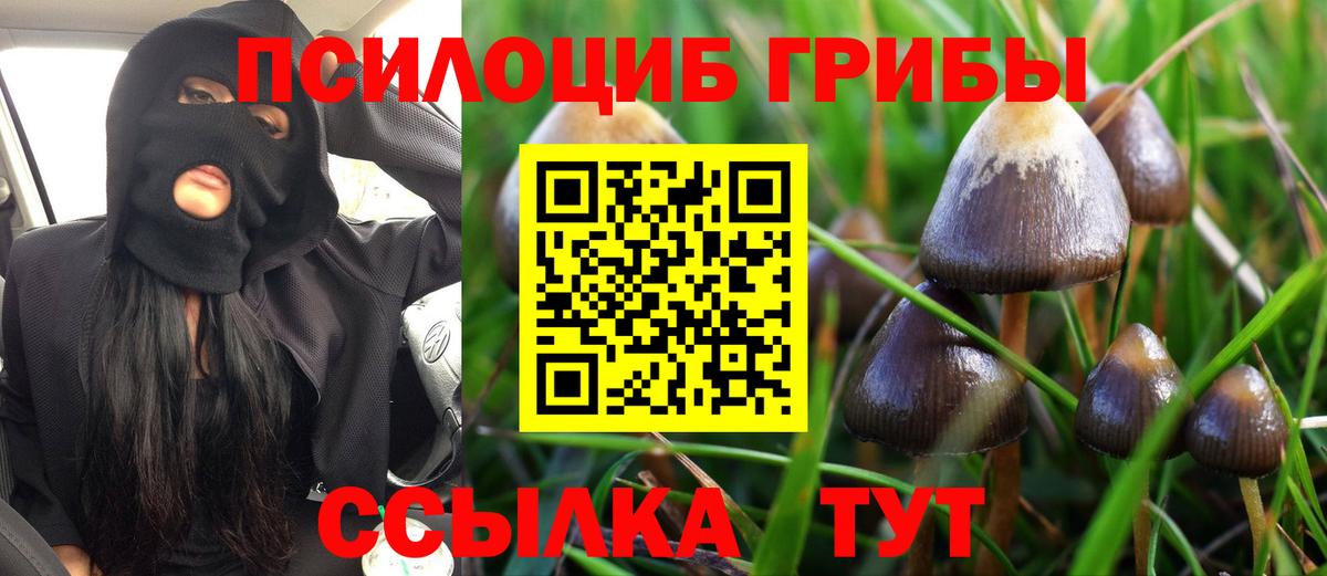 Новокуйбышевск  Псилоцибиновые грибы Magic Shrooms  Вход с VPN 