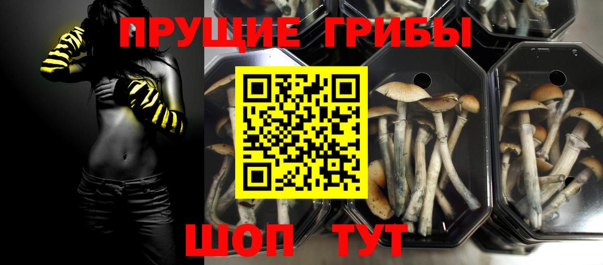 Псилоцибиновые грибы прущие грибы Новокуйбышевск